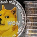 Kabosu dies: Shiba inu which inspired the ‘doge’ meme and became face of Dogecoin has died | World News