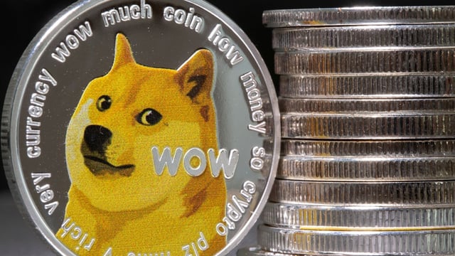 Kabosu dies: Shiba inu which inspired the ‘doge’ meme and became face of Dogecoin has died | World News