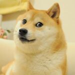 Kabosu, Dog Who Inspired Dogecoin And Shiba Inu, Is No More