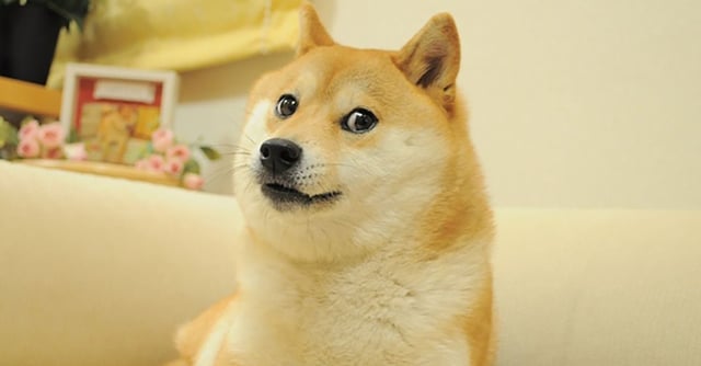 Kabosu, Dog Who Inspired Dogecoin And Shiba Inu, Is No More