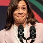 Kamala Harris ‘Will Not Be Speaking’ at Bitcoin Conference: CEO – Decrypt