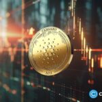 Cardano climbs as cryptocurrency market rebounds