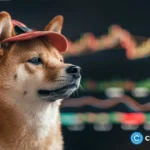 Dogwifhat rallies; PEPE, FLOKI record double-digit gains