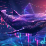 Bitcoin whale activity declines as the price stays near $67k