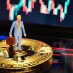 Professor Coin: Do Investors Treat Crypto Differently?