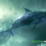 Whale Re-Enters Ethereum Market After $8.06 million Liquidation