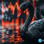 Bitcoin falls below $50,000: Is a black swan coming to the crypto market?