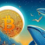 Bitcoin Whales Make a Bold Move: 84,000 BTC Purchased in July Amid Market Volatility.