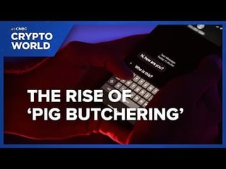 How Americans Are Losing Their Life Savings To Crypto Fraud