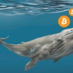 Crypto Whales Bought Bitcoin Worth $5 Billion in July