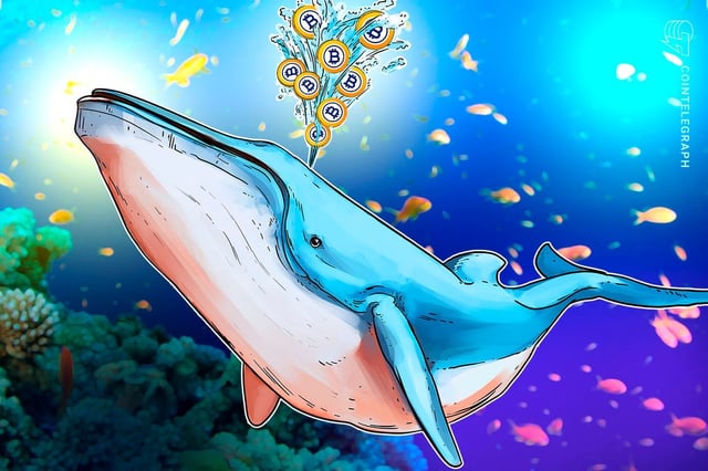 Whales hoarding Bitcoin: Wallets with 100 or more hit 17-month high