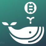 Whales Accumulate Over 133,000 BTC in Under a Month Amid Bitcoin Price Slump